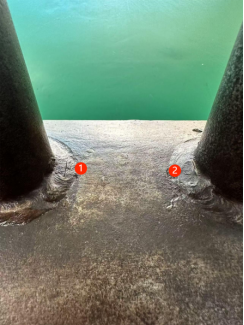 亚洲精品久久一区二区三区